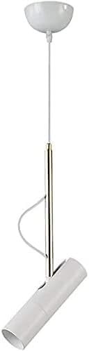 Lampes suspendues à angle réglable QTHWB avec lumière chaude 3000K pour plafond