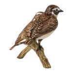 Goebel 66-845-22-1 Bird of the Year 2023 Brown Throat Pair Made of Bisque Porcelain, Brown, Orange, 17,5x12x10 cm - Image 4