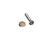 RV Designer H619 RV Trailer Camper Hardware Dashboard Screws/Caps Beige