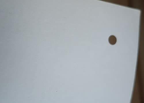 Firelings 0441238653 Book Cover