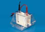 Tarsons Mini Dual Vertical Electrophoresis Unit (Qty-1) (Code : 7080)