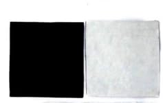 2 Pk Filters Canister work with Type CF-1# 909