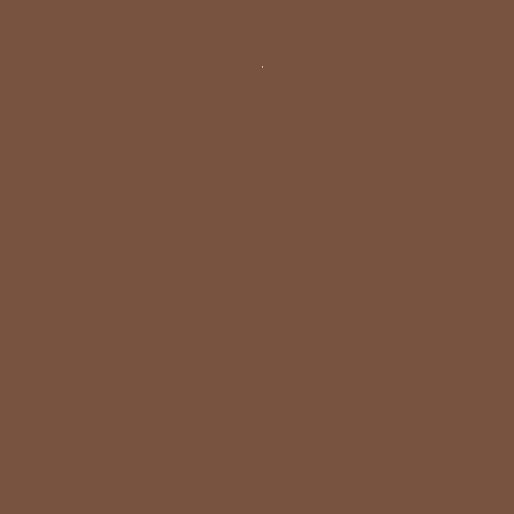 ADLER Pullex Color RAL8007 Rehbraun Peinture bois d'extérieur 10 l