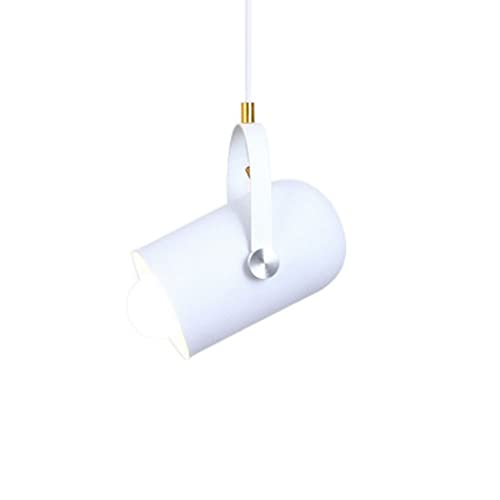 Plafonnier suspendu moderne lustre sombre pour entrée chaleureuse