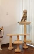 ベンチの様に座って猫と戯れられる据え置き型キャットタワー 選べる幅2種類の幅60cm タイプ3BS