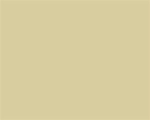 Crown Trade Palladian 5L Silk Emulsion