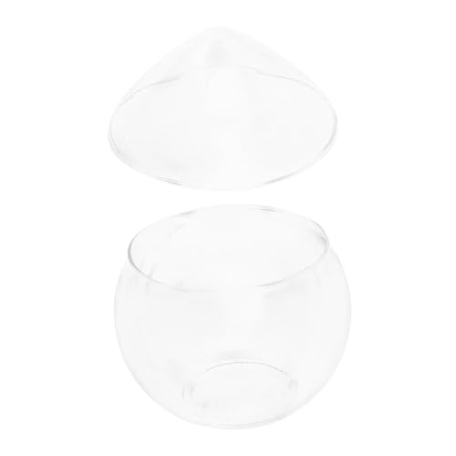 Ciieeo }eB[jOXOp`tCOX ϋvKXp[eB[hNJbv z[o[ppe