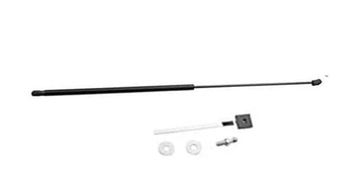 Supporti Cofano A Molla Gas Per Ford Focus MK4 2018-2024 - Sollevamento Facile E Sicuro