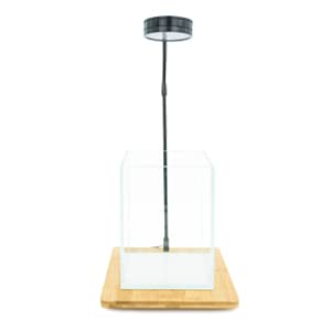 Hiro Aquatics Nano Tall Rimless Aquarium With Nano Full Spectrum Led W/Bamboo Stand, For Betta Fish Tank, Wabi Kusa & Aquatic Plants #TOP8