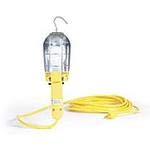 Woodhead/Molex, 405, A21 Incandescent Lamp (2 Item/s)