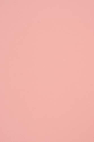 Netuno 20 fogli di cartoncino naturale colorato