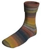 Lang Jawoll SW Sock Yarn #149