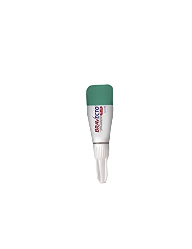 Bravecto Plus Antipulgas e Carrapatos Gatos 1,2 a 2,8Kg