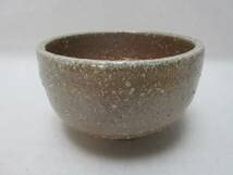 Amazon.co.jp: G09054 茶道具 信楽焼 代一窯 杉本代一作 茶碗 陶