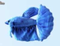 halloween reversible octopus