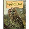 The Year of the Tawny Owl: The Story of Ule of Dildawn 0312896298 Book Cover