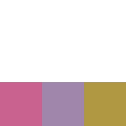 Vera Bradley 3 Pouch Organizer Set, Clear Medley2