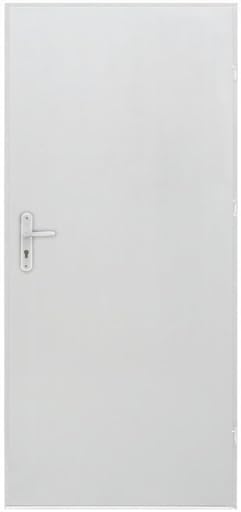 Kellertür 109x207 cm DIN Rechts | Robuste Stahltür Komplettset mit Schloss und Griff | Nebeneingangstür für Keller oder Werkstatt | Garagentür mit Stahlzarge | Außentür pulverbeschichtet | Hellgrau