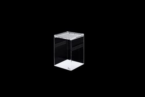 Produktbild von ReptiZoo Plexiglas Hochterrarium Aufzuchtterrarium 30,5x30,5x45 cm weiß