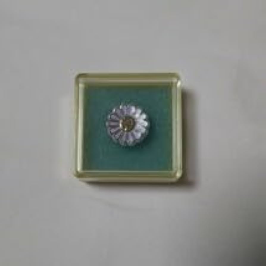 【希少】自民党党員バッジ - 歴代総理も着用した権威の象徴 2025年最新】党員バッジの人気アイテム - メルカリ