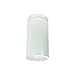 Nora Lighting NYLI-6SI2WWW Cylinder Flush Mount White and White Flange and White