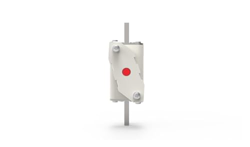 Fusible haute vitesse boulonné de sécurité supérieure RS306-01-T5Z 1250V - 2