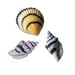 Seashells Sugar Decorations Cookie Cupcake Cake 12 Count