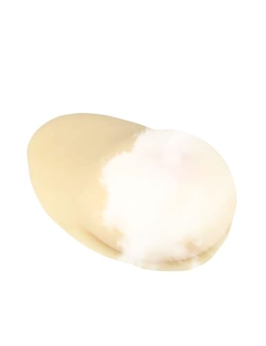 Medarchitect Human Female Breast Simulating Model with Base for Teaching Prolactin Massage and Breastfeeding to Lactating Woman, Student, Doctor (Single)