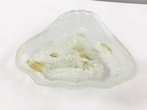 新品未使用　岩田工芸硝子　イワタガラス　木の葉のお皿　大小2枚セット 工芸美術品 Amazon.co.jp: IWATA イワタ 岩田糸子 岩田工芸 葉形 ガラス皿