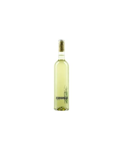 Finca Las Caraballas Verdejo Rueda 1,5 L