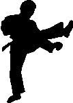 Martial Arts Kicking Silhouette Wall Decal Cutout
