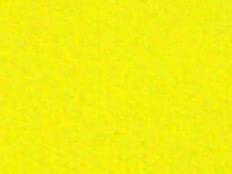 Hair Chalk Coloring - neon yellow