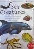 Paperback Sea Creatures Book