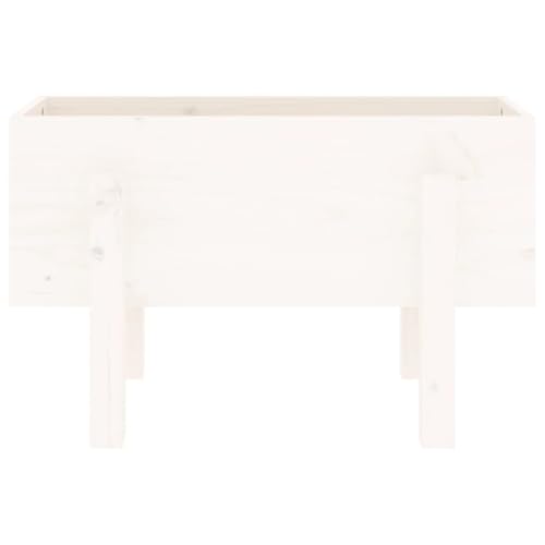 Vassoio Per Fioriera Aiuola Rialzata Piante Fiori Terrazza Giardino 62 X 30 X 38 Cm Legno Massiccio Di Pino Bianco 02_0037741 - 3