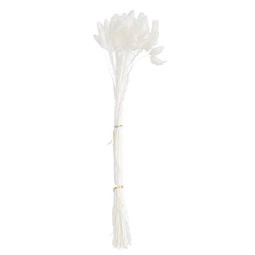 Ciieeo 50pcs Ramo de Flores Secas Diente de León Blanco miniatura 1