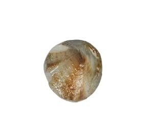 Ratna Shree 100% Natural Machhmani Certified Form Authentic laboratory (3.800) (B0CD5Y2FND) Amazon Price History, Amazon Price Tracker