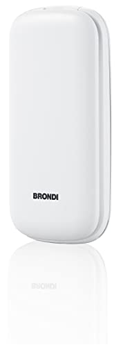 Cellulare a conchiglia dual sim standby (standard sim)