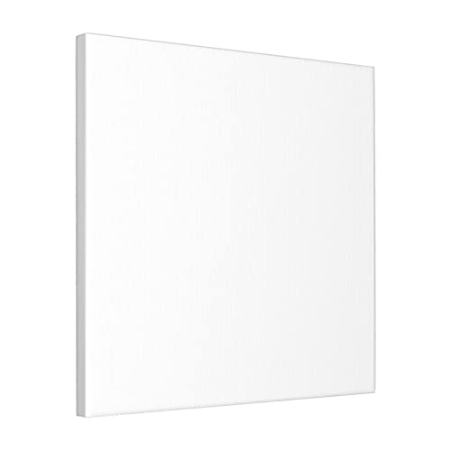 �G�� �t���[�������� �L�����o�X�A�[�g �A�[�g�p�l�� �ǉ� �Ǌ|�� �G ���_���A�[�g �ŉ� �Ǐ��� ���E�̖��� �|�X�^�[ 40x40cm