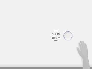 ★新品未開封★ロイヤルコペンハーゲン★11cm5枚★1017245 Amazon.co.jp: 【正規輸入品】 ロイヤルコペンハーゲン