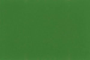 Japan Oil Color Emerald Green 8 oz. Can