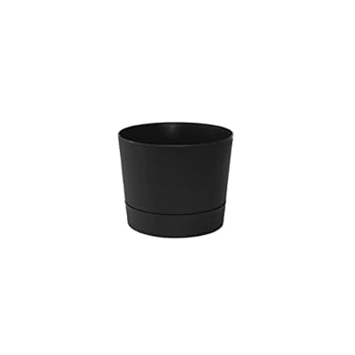 Root & Vessel Cylinder Pot