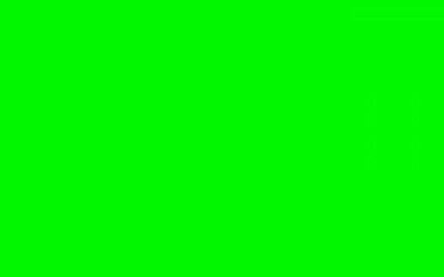 Center Lechler - Vernice diurna RAL 6038, 500 ml, colore: Verde chiaro