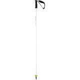 HEAD Unisex-Adult Worldcup Rebels Carbon Skistock, Weiss, 120