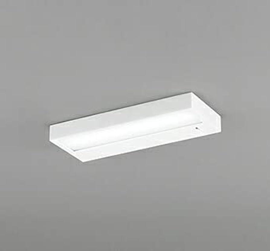 オーデリック　ライト ODELIC オーデリック ブラケットライト 【OB255244R】【OB 255