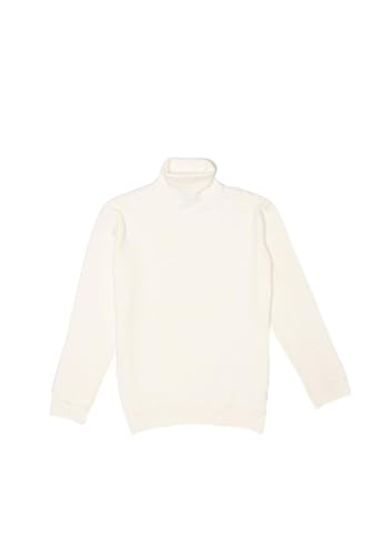 Pull col roulé Mavi Homme pour ne plus jamais craindre le froid hivernal