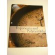 Exponents and Polynomials 0536324662 Book Cover