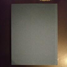 Amazon.co.jp: 石橋純 LIFE IS FLEETING 写真集