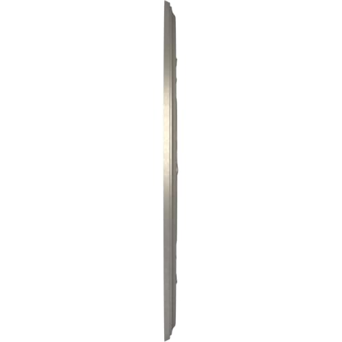 Image of Ekena Millwork CMP19BABAL Baltimore Thermoformed PVC Ceiling Medallion (Fits Canopies up to 7 3 /4 inch), 19 inchOD x 3 1 /2 inchID x 1 inchP, Bright Coat Aluminum
