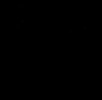 Vista 5 de Night at the Opera