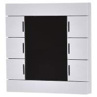 Taster Smart 86 Farbdisplay Kunststoff MDT BE-TAS86.02